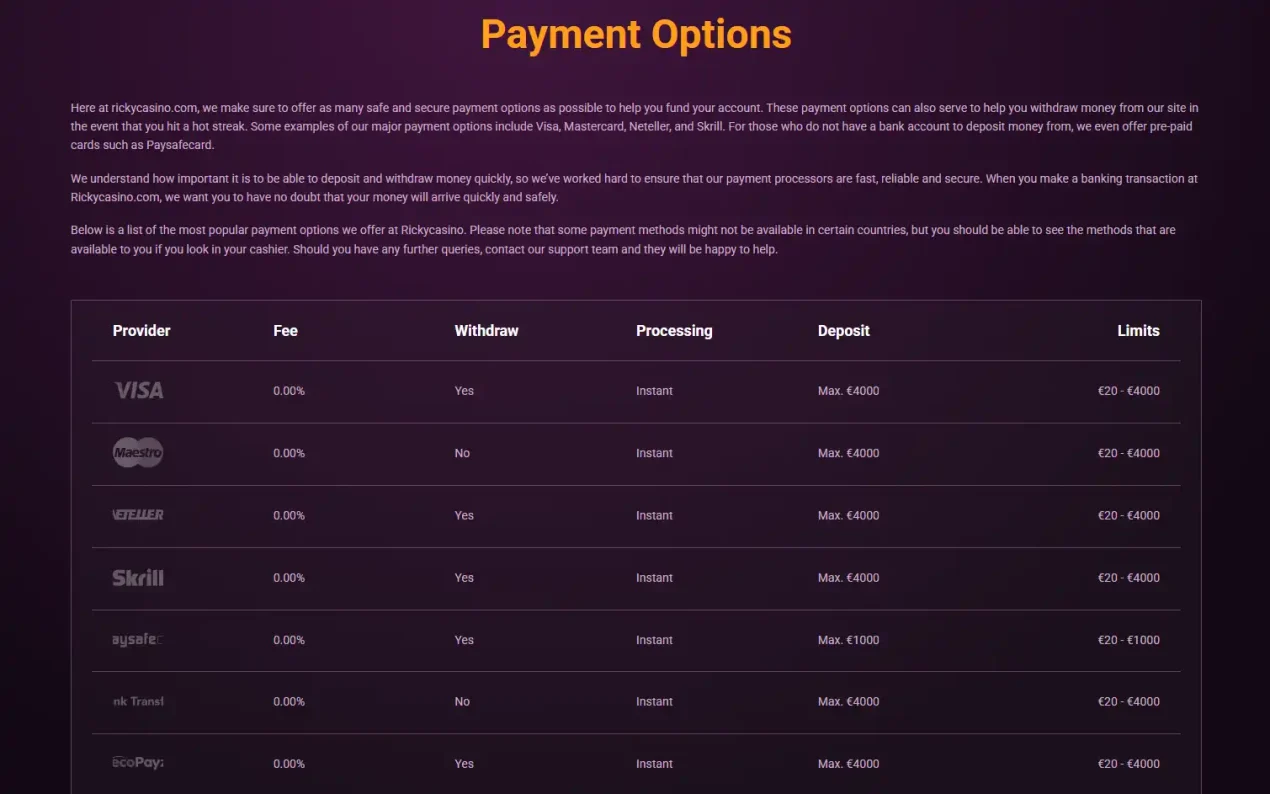 Rickycasino payment options showing card, e-wallet and prepaid choices